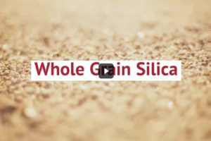 Whole Grain Silica