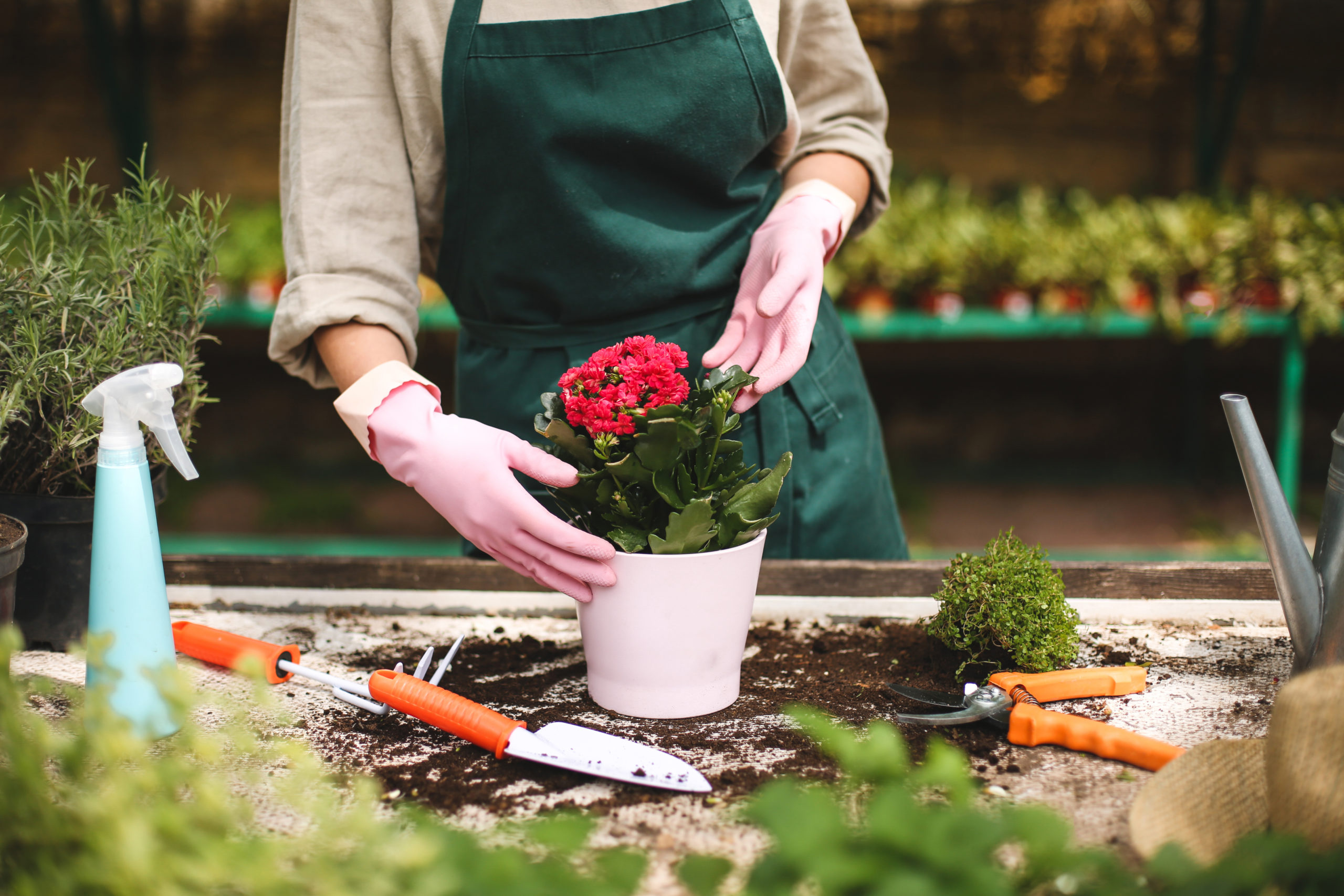 Horticulture Horticulture