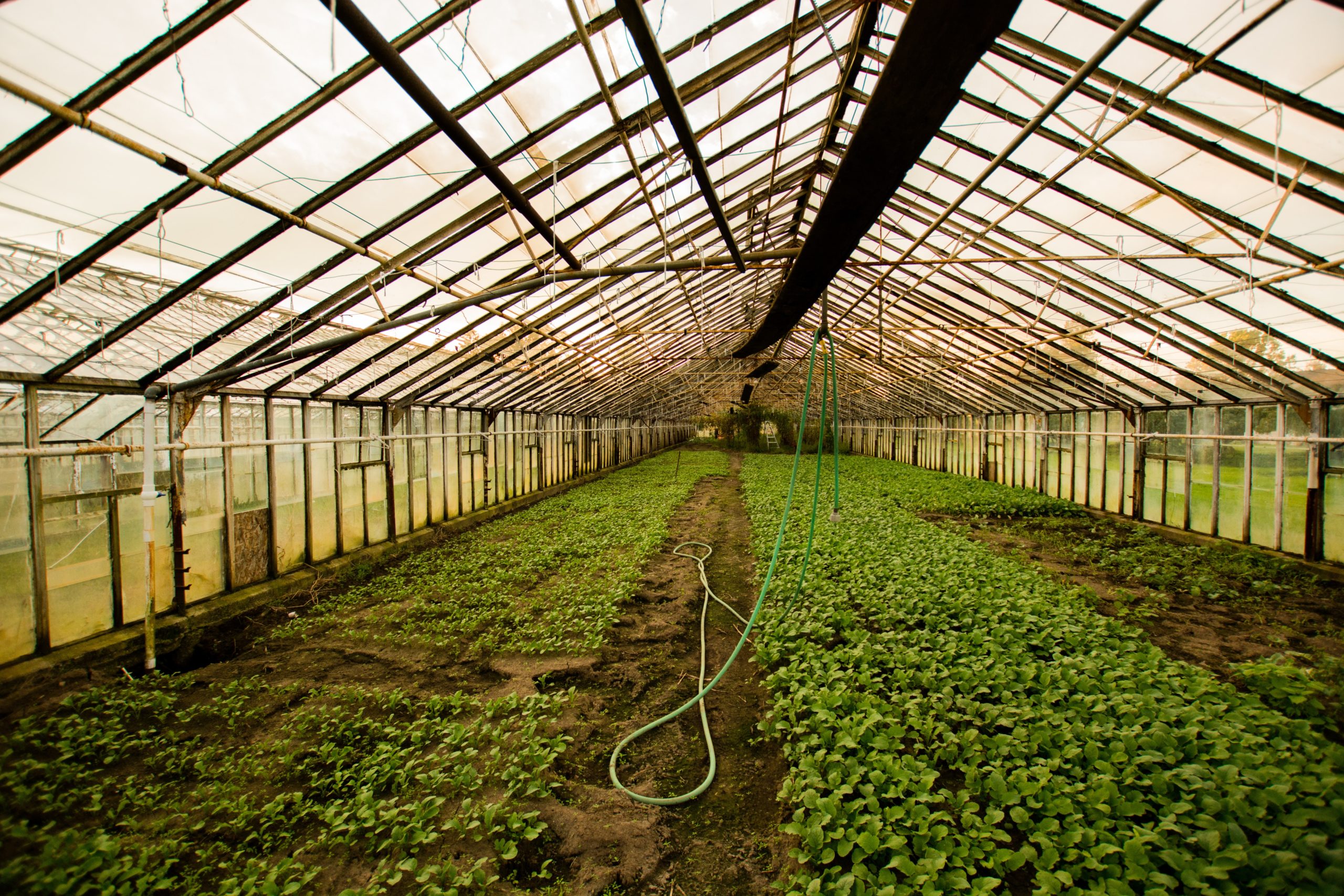 Horticulture Horticulture